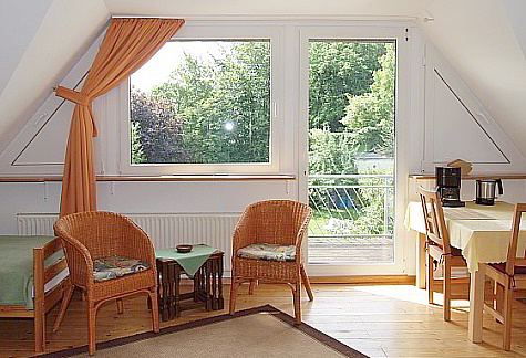 Nichtraucherwohnung, Haustiere sind nicht gestattet